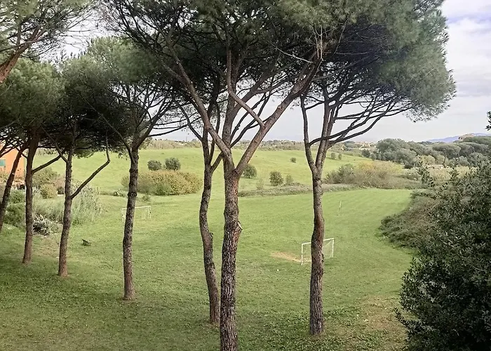 Daire Casa Valle Dei Casali Near St Peters Basilica
